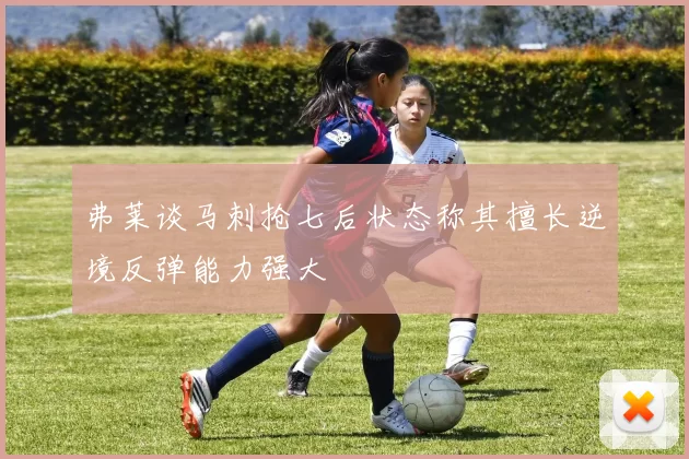 弗莱谈马刺抢七后状态称其擅长逆境反弹能力强大