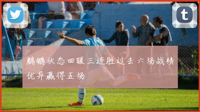 鹈鹕状态回暖三连胜过去六场战绩优异赢得五场